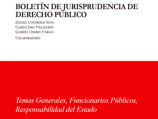 Boletín de Jurisprudencia de Derecho Público S1-2019 | Temas Generales, Funcionarios Públicos y Responsabilidad del Estado